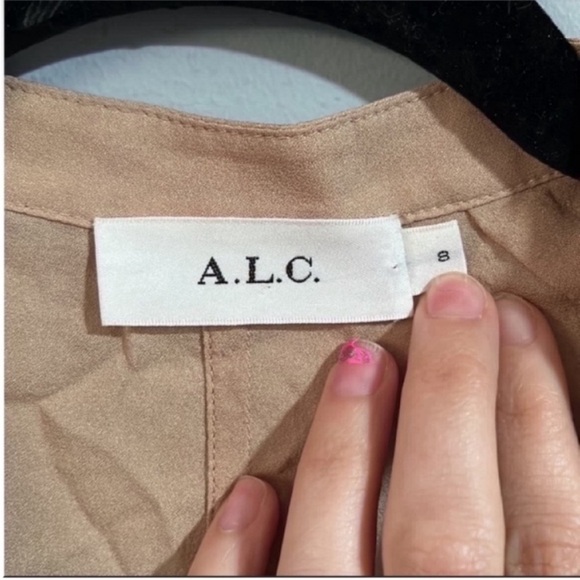 ALC Beige Silk Dress with Matching Slip - Picture 3 of 9